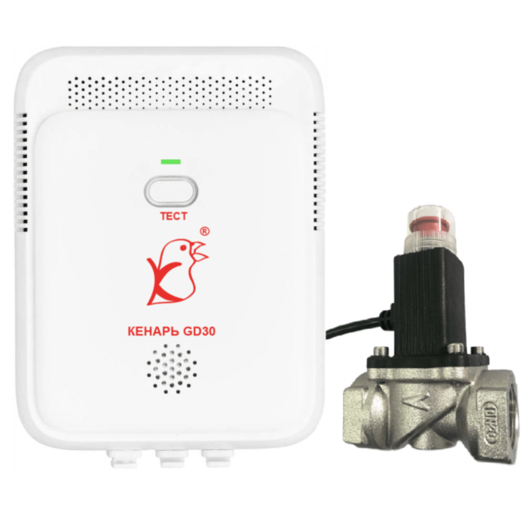 Комплект Кенарь GD30-L + DN25 (1")